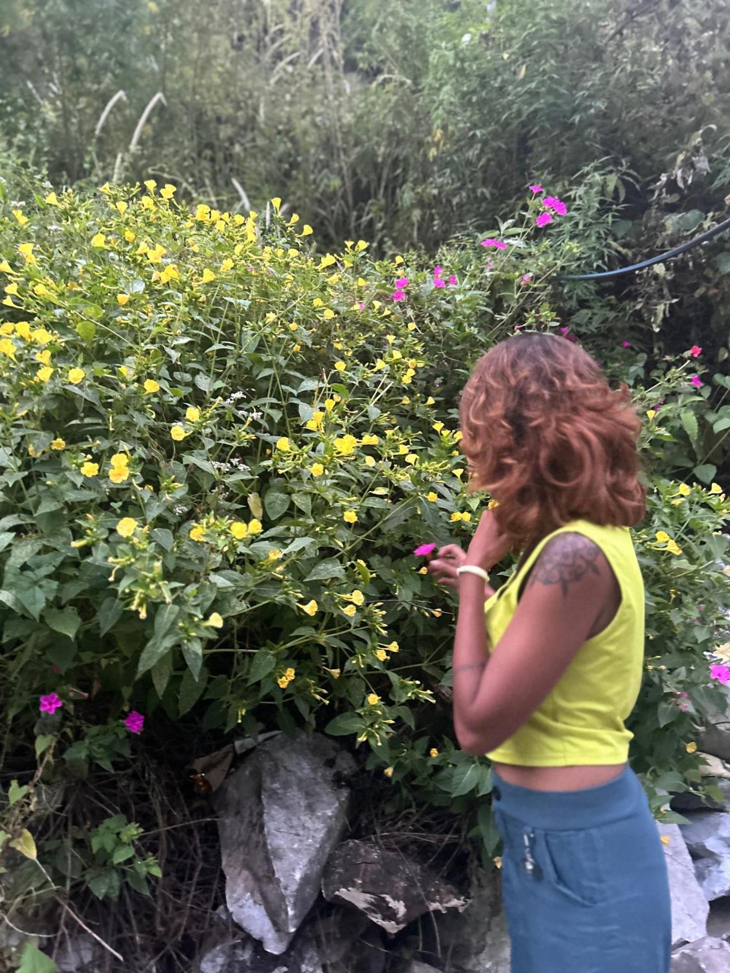 Formosa Hostel & Cafe Kasol Εξωτερικό φωτογραφία