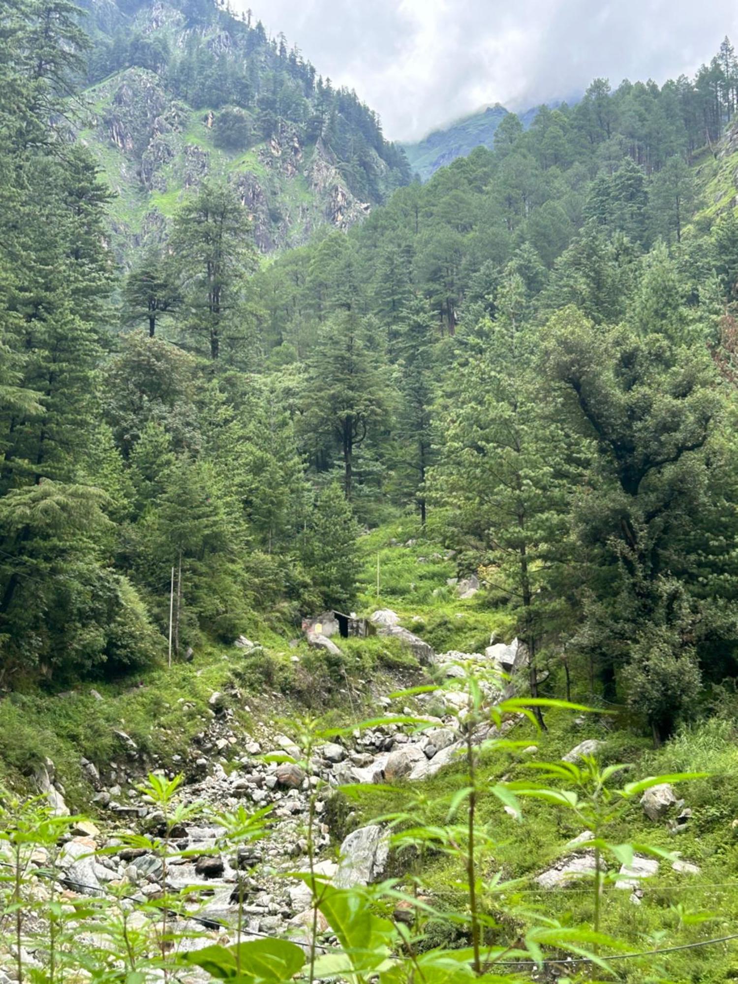 Formosa Hostel & Cafe Kasol Εξωτερικό φωτογραφία